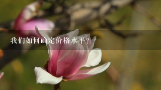 我們?nèi)绾未_定價(jià)格水平？