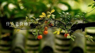 什么是價(jià)格？